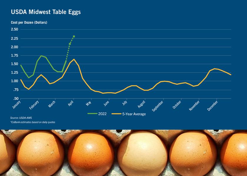 Avian Flu Pressures Easter Egg Supply and Price AgWeb